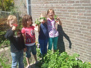 Kinderen in de moestuin