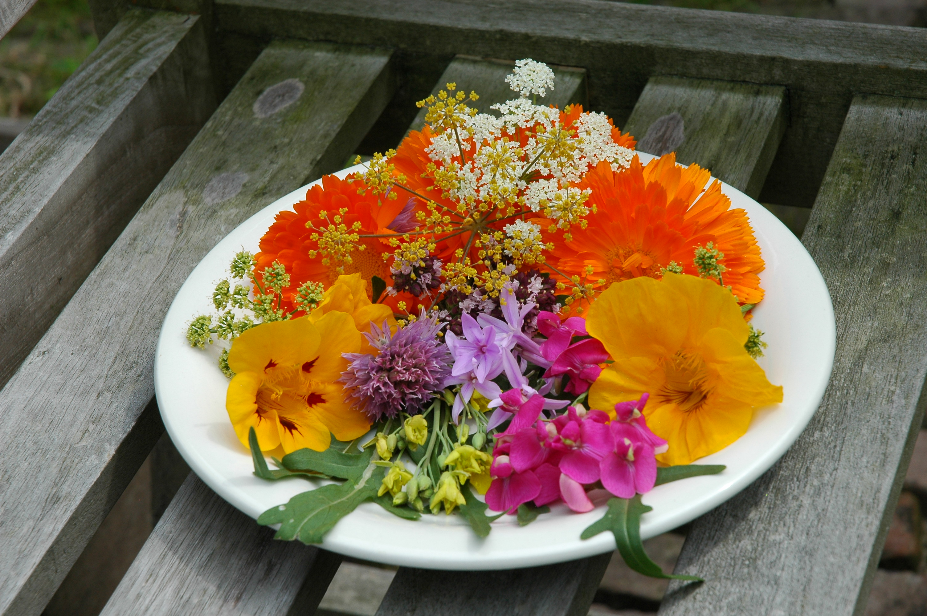 Eetbare bloemen voor mensen met weinig tijd Cruydthof blog