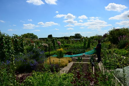 Burton Agnes Hall kitchen garden