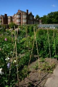 Burton Agnes Hall kitchen garden