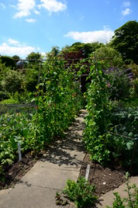 Burton Agnes Hall kitchen garden