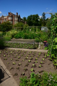 Burton Agnes Hall kitchen garden