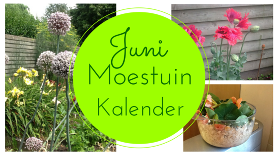 Zaaikalender juni moestuin