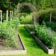 Augustus in de moestuin