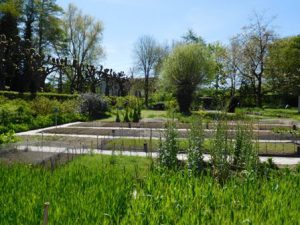 Oude moestuin